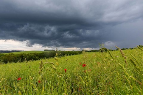 Heavy rain showers and thunderstorms over Possendorf in the Eastern Ore Mountains, Possendorf,