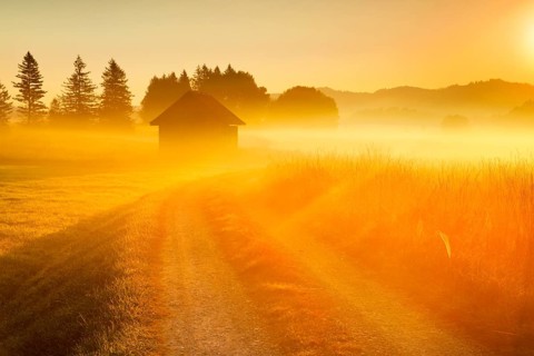 Golden morning light streams through fields of fog and the Rothenthurm high moor, Schwyz,