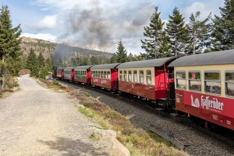 Red train on rails in wooded landscape, smoke rising, Harz Mountains, Brocken, Lower Saxony