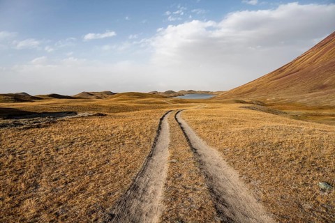 Track through hilly landscape with yellow grass, Trans Alay Mountains, Pamir Mountains, Osh