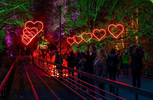 Parkleuchten, event in winter, in the Grugapark in Essen, many different light installations,