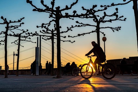 Rhine promenade, Rhine bank at the old town of Düsseldorf, Rheinkniebrücke, cycle path, footpath,