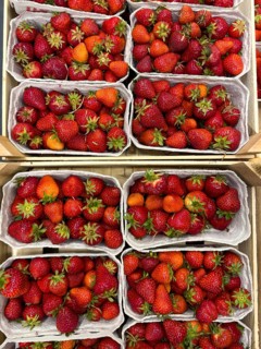 Fresh strawberries (Fragaria) fresh fruit for healthy eating on display from fruit merchants