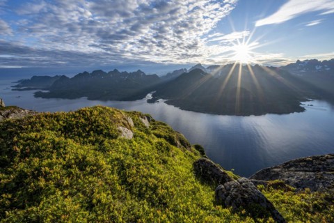 View of Fjord Raftsund and mountains in the evening light, sun star, view from the top of