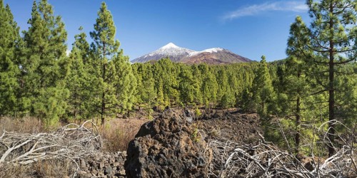 Arena Negras, behind it Pico del Teide, 3715m and Pico Viejo, 3135m, National Park Teide, Tenerife,