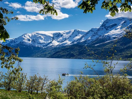 Boat on the fjord, view of snow-covered mountains, fjord and apple trees in bloom, spring,