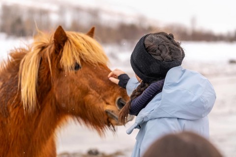 A woman is petting a horse with a brown mane. The woman is wearing a blue jacket and a black hat