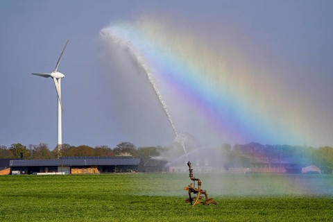 Artificial irrigation of a cereal field in April, with a sprinkler system, long dry spell in spring