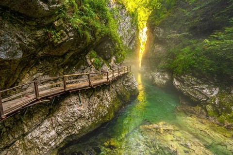 Sunlight filters through a narrow canyon illuminating a wooden walkway over a clear emerald river