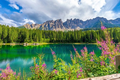Alpine landscape reflecting in the emerald waters of lake carezza, adorned with pink flowers and