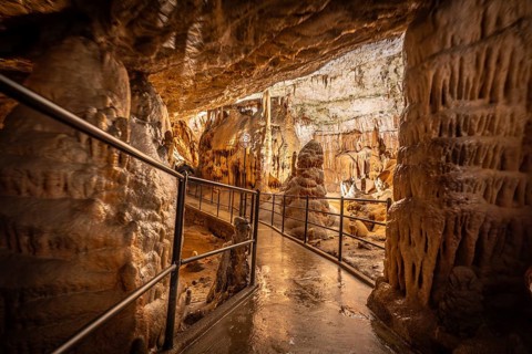 Tourists enjoying a guided tour walking on the footpath inside the famous postojna cave, a natural