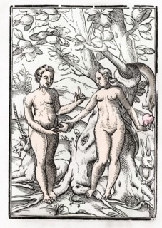 Adam und Eva im Garten Eden Aus Der Todten Tanz oder The Dance of Death erschienen in Basel 1843,