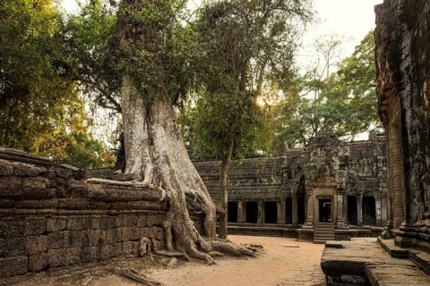 Ta Prohm, Angkor Wat, Angkor, UNESCO World Heritage Site, Siem Reap, Cambodia, Indochina, Southeast