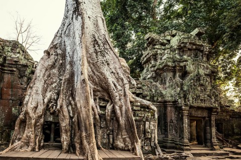 Ta Prohm, Angkor Wat, Angkor, UNESCO World Heritage Site, Siem Reap, Cambodia, Indochina, Southeast