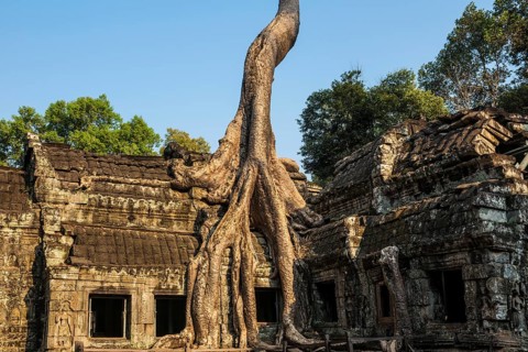 Ta Prohm, Angkor Wat, Angkor, UNESCO World Heritage Site, Siem Reap, Cambodia, Indochina, Southeast