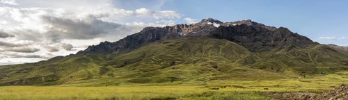 Peruvian highland vegetation, Kunka, Abra La Raya, Peru, South America