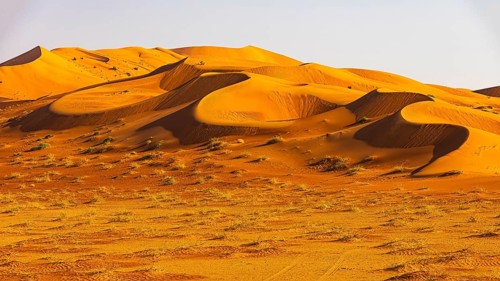 Wind-sculpted curved sand dunes in the Rub al Khali desert, Dhofar province, Arabian Peninsula,