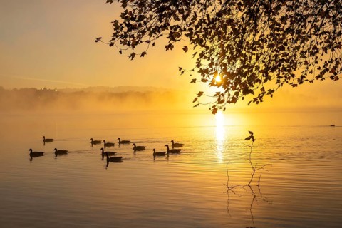 Sunrise, autumnal atmosphere at Lake Baldeney, near Haus Scheppen, in Essen, North