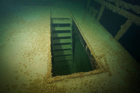 An open entrance on a shipwreck surrounded by water, covered with mussels, quagga triangle mussel