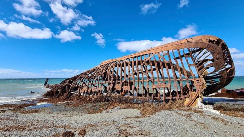 Wreck of the Amadeoan of the Strait of Magellan, Patagonia, Tierra del Fuego, Argentina, South