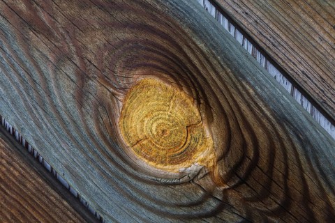 Close-up of large knot on weathered pine wood plank surface, Quebec, Canada, North America