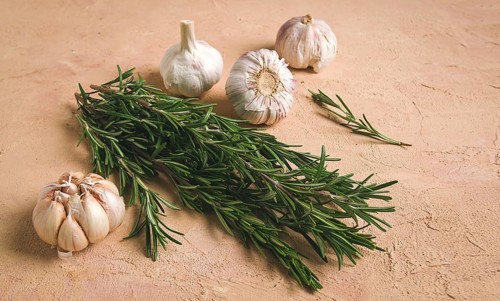 Fresh bunch of rosemary with garlic, on a beige background, food concept
