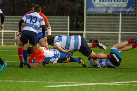 Rugby 1st Bundesliga South/West, season 2024/25, matchday 7 (catch-up match) : Heidelberger