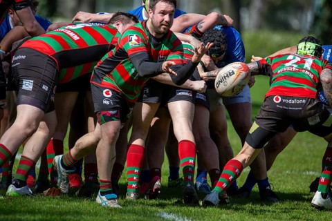 Heidelberg, 06.04.2024, Rugby 1st Bundesliga South/West, Season 2023/24, Matchday 10: SC Neuenheim
