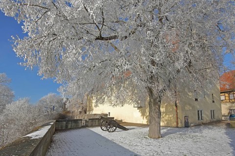 Medieval cannon with chariot wheels in winter, snow, frost, hoarfrost, Hellenstein Castle,