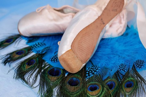 Ballet shoes, pointe shoes on peacock feathers, still life, dance shoes covered with satin in light