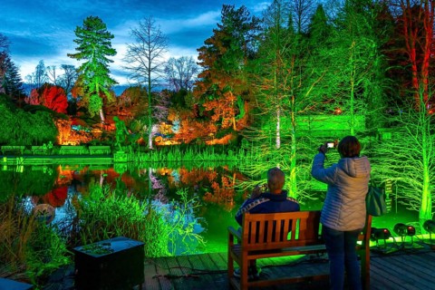 Parkleuchten, event in winter, in the Grugapark in Essen, many different light installations,