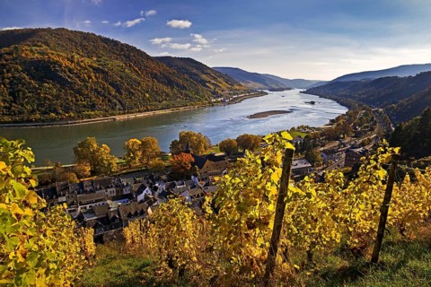 View of Bacharach on the Rhine in autumn with the Fürstental Silvaner wine-growing region, Upper