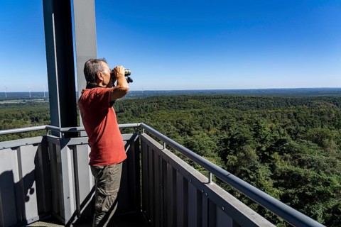 Fire watch tower on the Rennberg, near Flaesheim, Haltern am See, in the Haard forest area, one of
