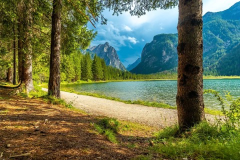 Breathtaking summer view of lake dobbiaco, nestled amidst the majestic dolomites, with a tranquil