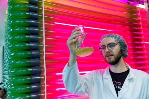 PUEVIT GmbH produces the most efficient photobioreactors for the cultivation of microalgae. The aim