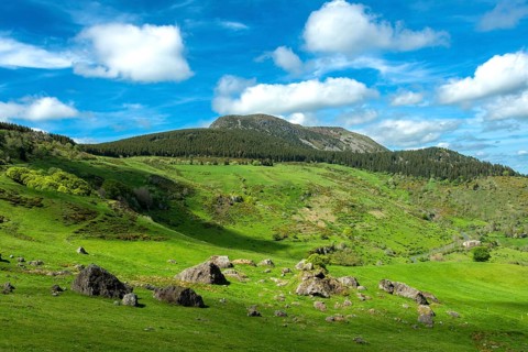 Lush Green Landscape of Mont Mezenc in in the Monts d'Ardeche Regional Natural Park,
