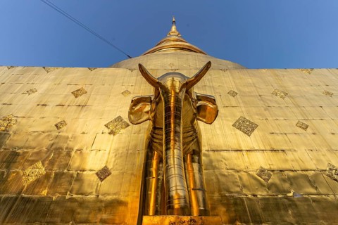 Elephant at the foot of the Golden Chedi Phrathatluang in the temple Wat Phra Singh, Chiang Mai,
