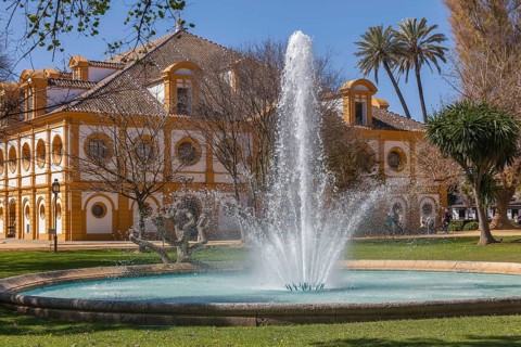 Royal Andalusian Riding School, Jerez de la Frontera, Andalusia, Spain, Europe
