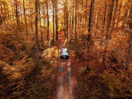 Car driving through an autumnal forest with golden yellow leaves and sunlight, electric car, VW