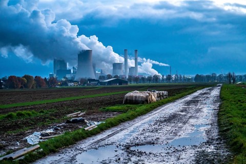 Field path, lignite-fired power station, RWE Power AG Niederaußem power station, near Bergheim,