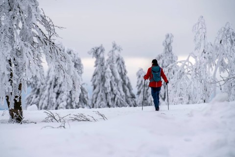 Winter in Sauerland, Hochsauerlandkreis, at Kahler Asten, near Winterberg, few tourists, visitors,