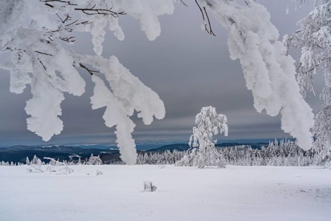 Winter in Sauerland, Hochsauerlandkreis, at Kahler Asten, near Winterberg, few tourists, visitors,