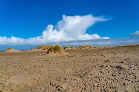 Dune landscape, sand dunes, dune grass in the west of Borkum, island, East Frisia, winter, season,