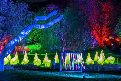 Parkleuchten, event in winter, in the Grugapark in Essen, many different light installations,