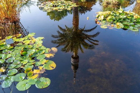 Westfalenpark, with 70 hectares, one of the largest inner-city parks in Europe, water plant basin,