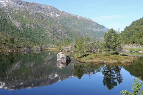 Pine-covered island in the lake, Lofoten, Norway, Scandinavia, Europe