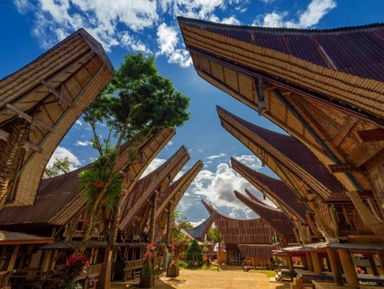 Traditional Toraja houses, Limbong village, Tana Toraja, Sulawesi, Indonesia, Asia