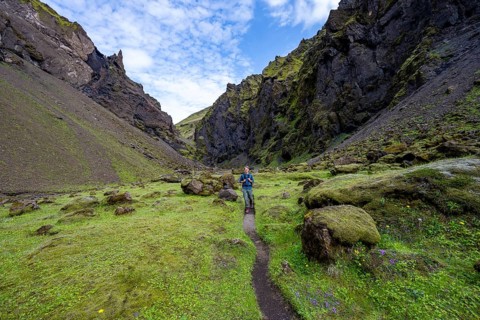Hiking trail through a green moss-covered gorge, enchanted volcanic landscape, Pakgil, Iceland,