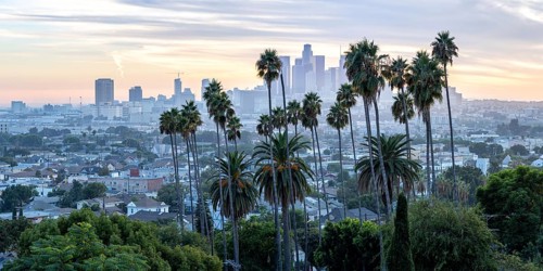 Los Angeles skyline with palm trees and downtown at sunset panorama in California in Los Angeles,
