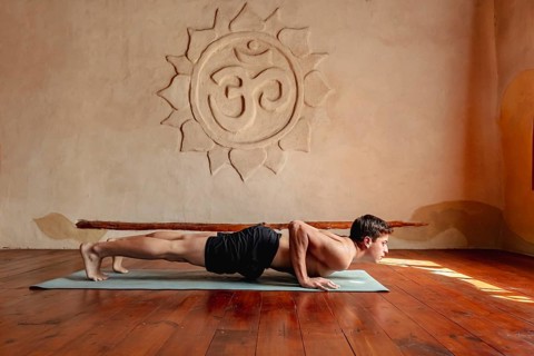 Profile of young athlete doing shoulder exercises in yoga studio, push-ups, chaturanga dandasana
